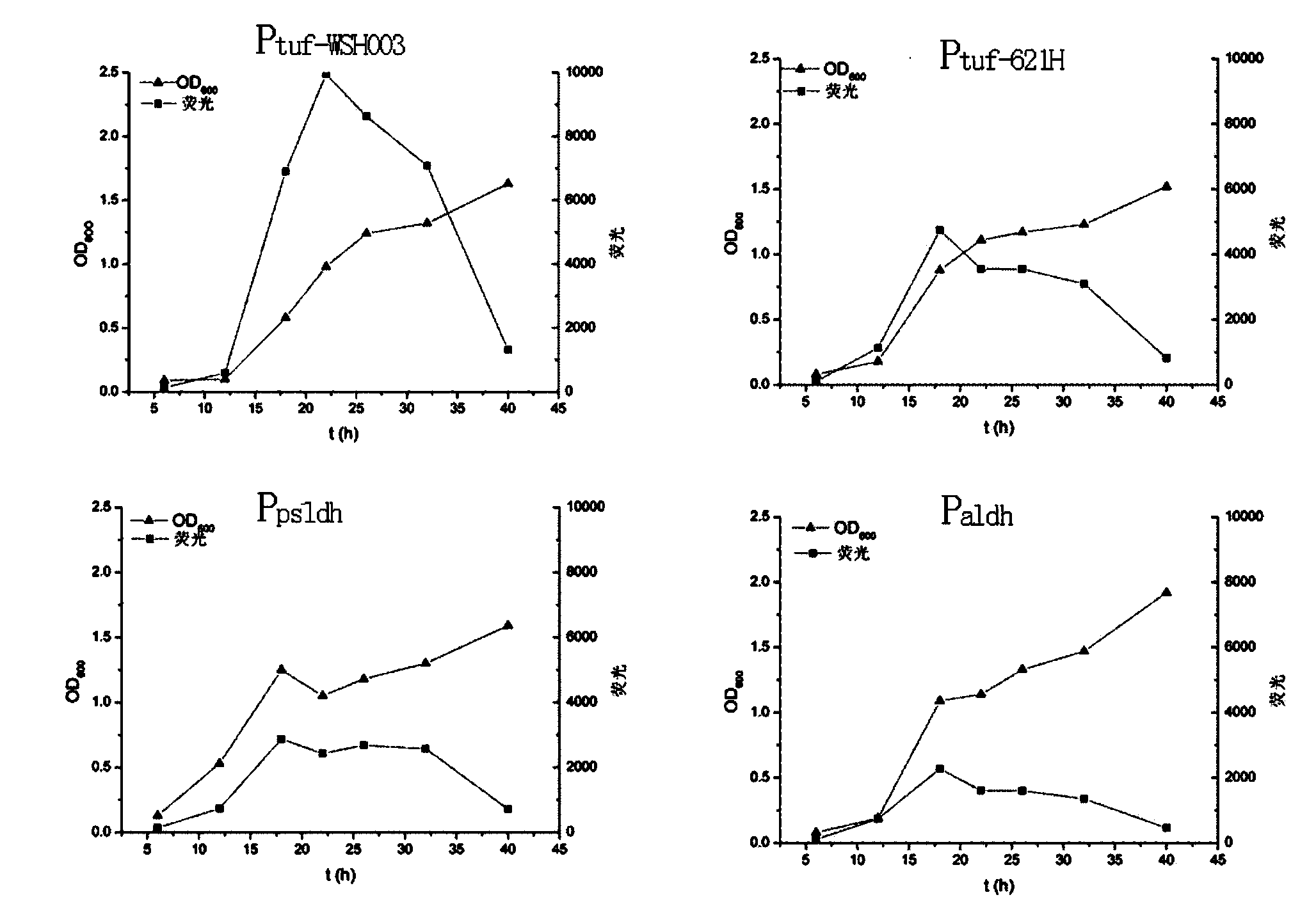 Gradient intensity promoter of gluconobacter oxydans