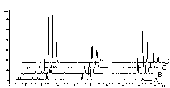 Preparation method for honeysuckle extract