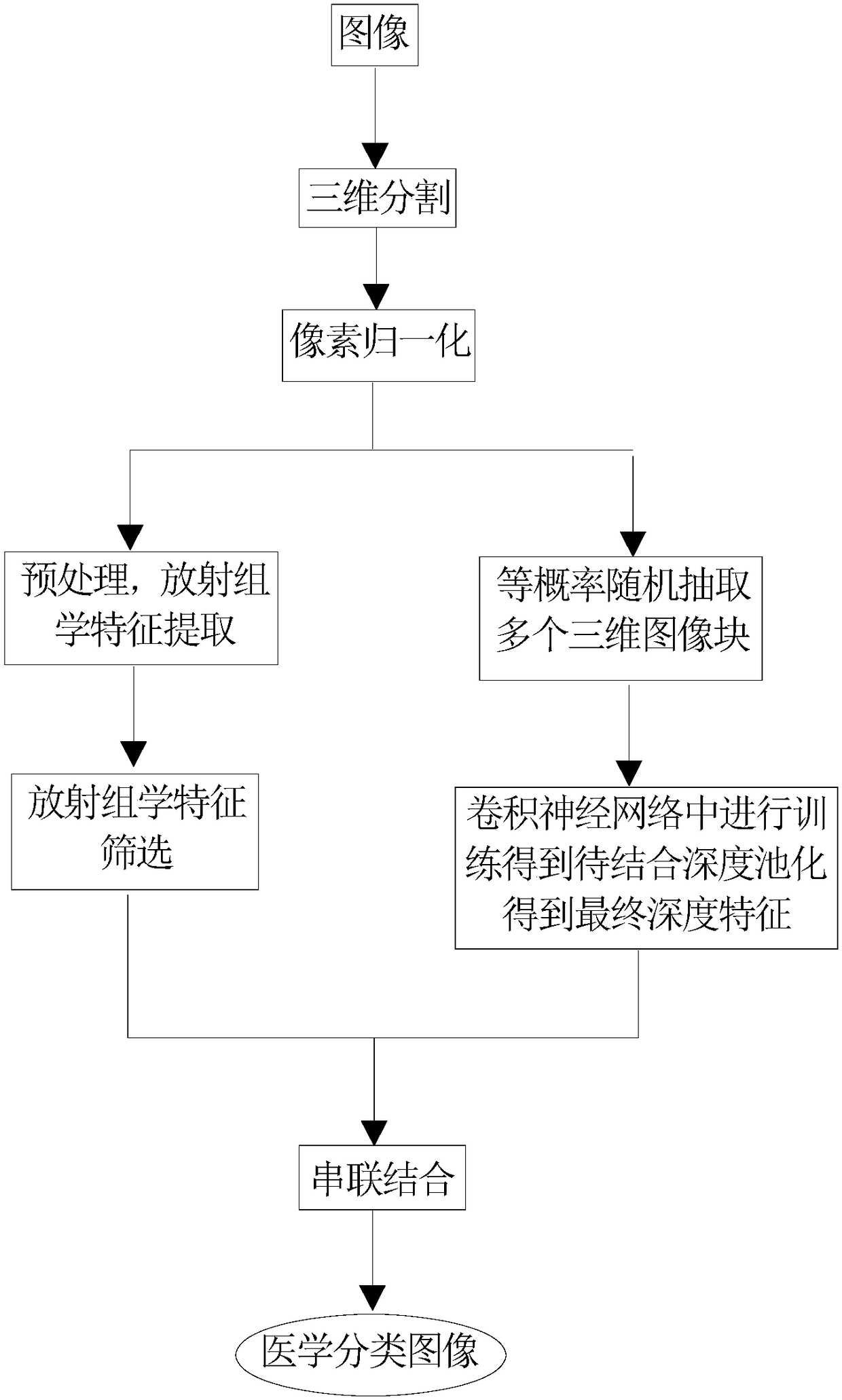 Image classification method fusing radiomics and deep convolution features