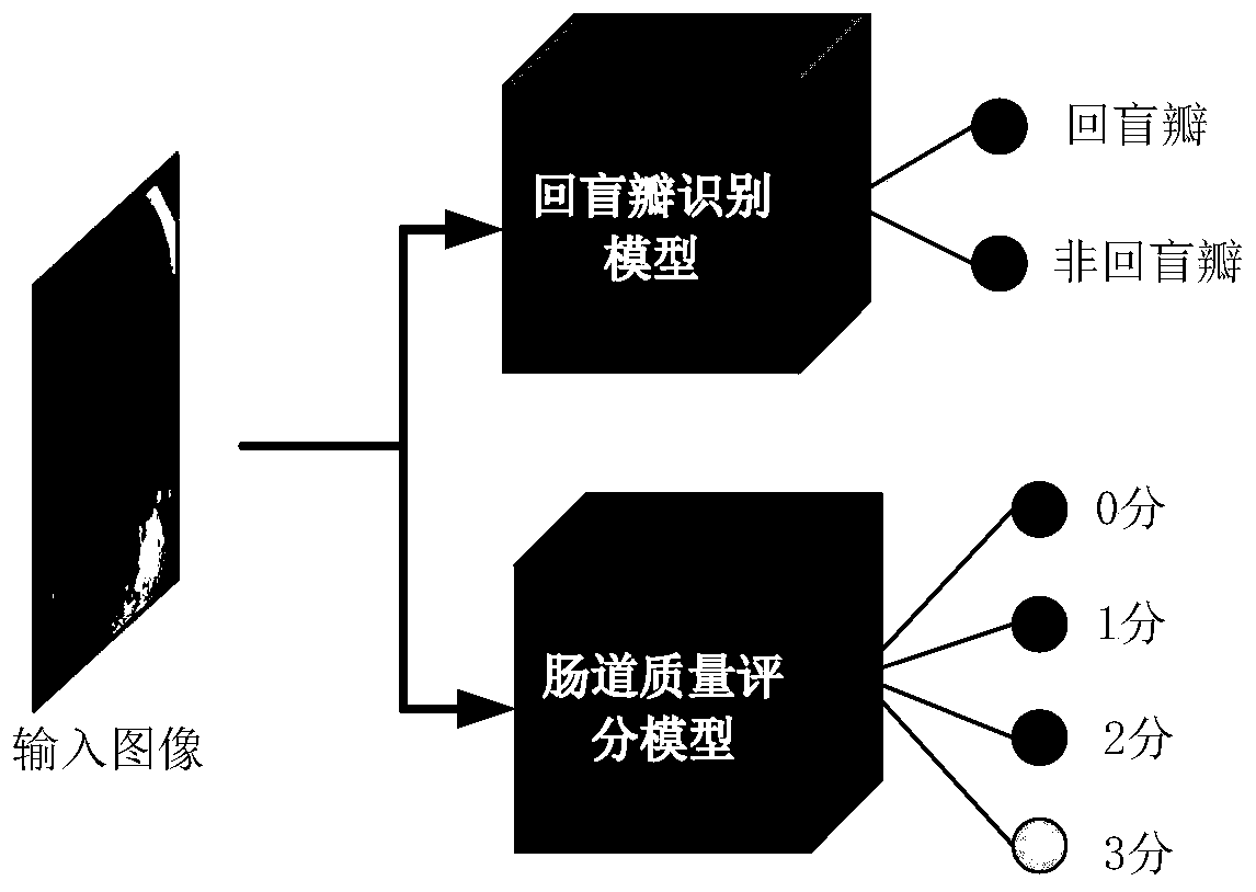 Enteroscopy quality inspection control system based on deep learning