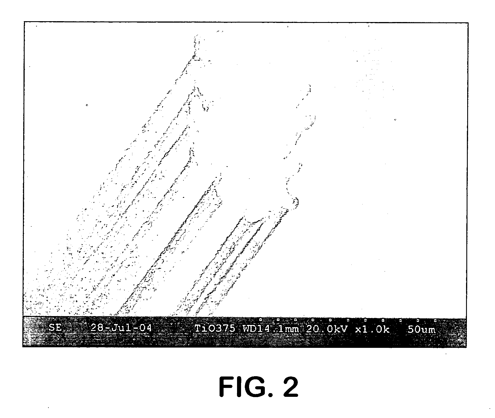 Capillary-channeled polymeric fiber as solid phase extraction media