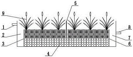 Constructed wetland device with Acorus calamus L. vegetations