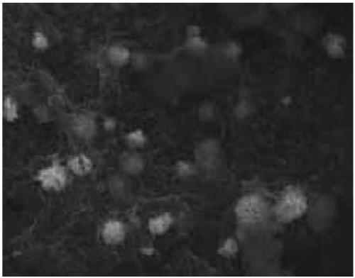 Graphene oxide loaded copper sulfide composite material preparation method