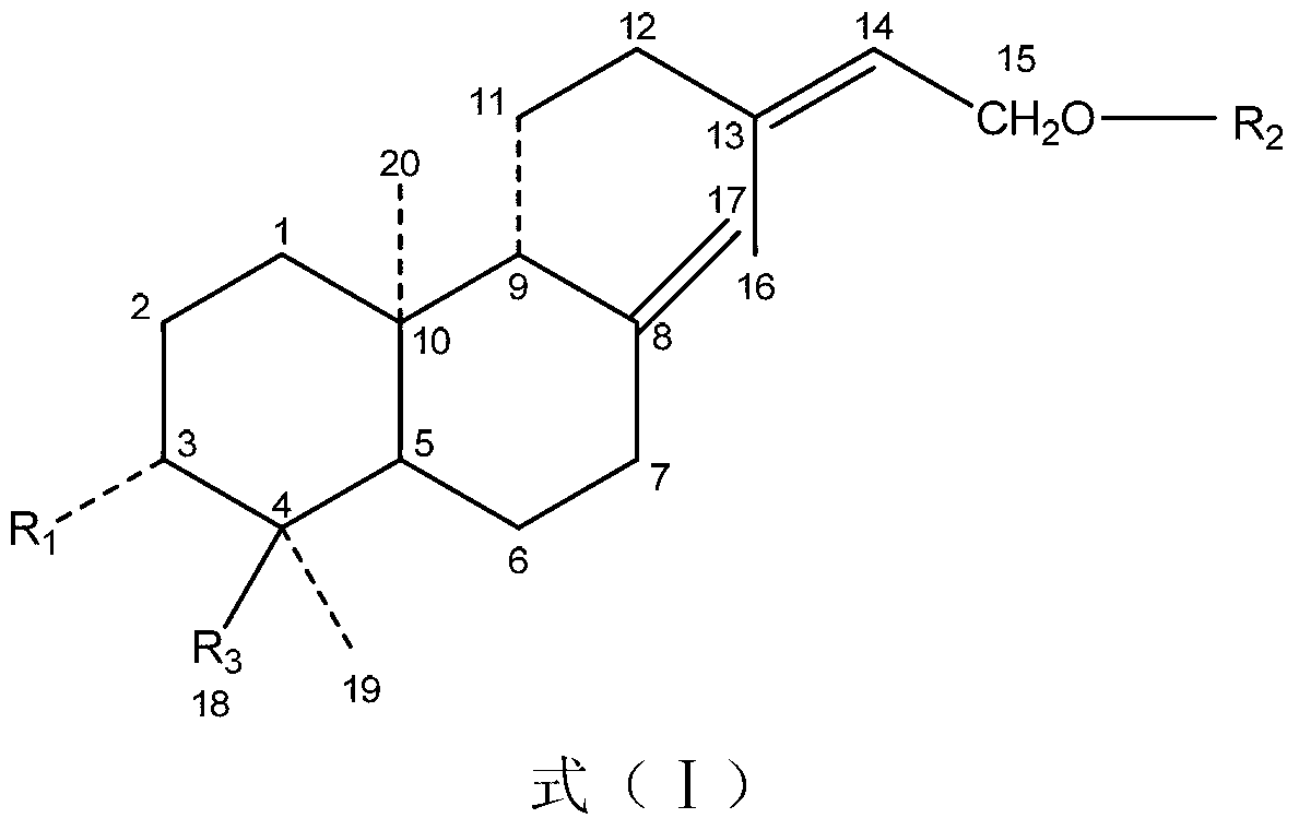 Application of labdane diterpene glycoside compounds in rubus chingii Hu as medicine