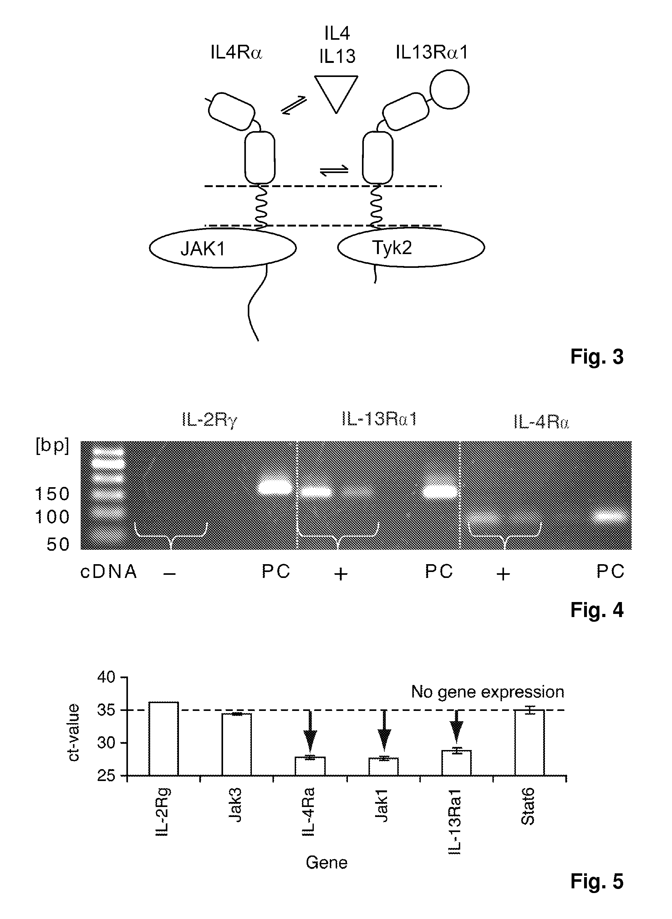 Methods and Compositions for Reducing Interleukin-4 or Interleukin-13 Signaling