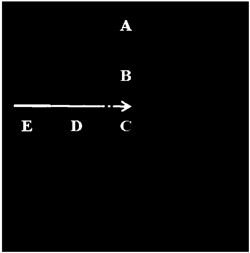 Grid noise elimination method capable of keeping acutance