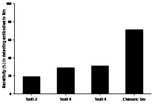 Novel Smith Chimeric Peptide Antigen and Its Application in Laboratory Diagnosis