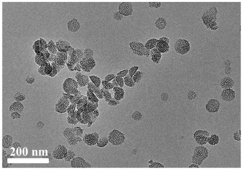 Preparation method of mesoporous silica nanohemisphere material