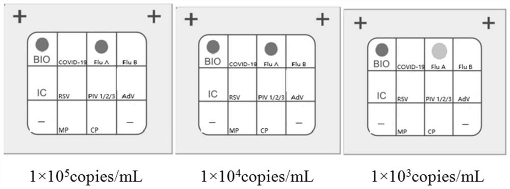 Respiratory tract infection pathogen nucleic acid combined detection kit