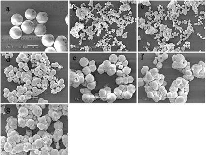 Chemical solution preparation method for tungsten molybdate solid solution luminescent microcrystal