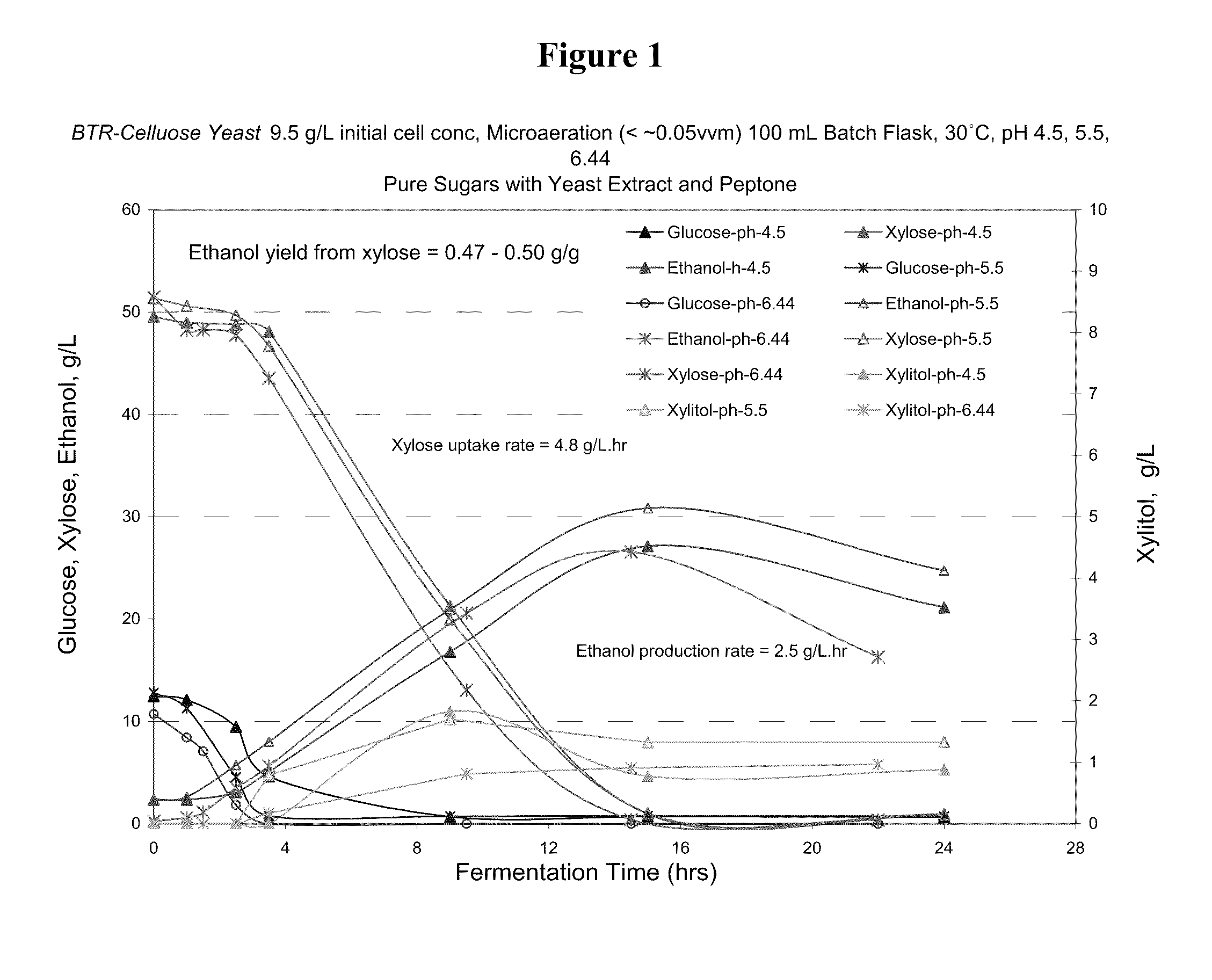 Novel ethanol-producing yeast