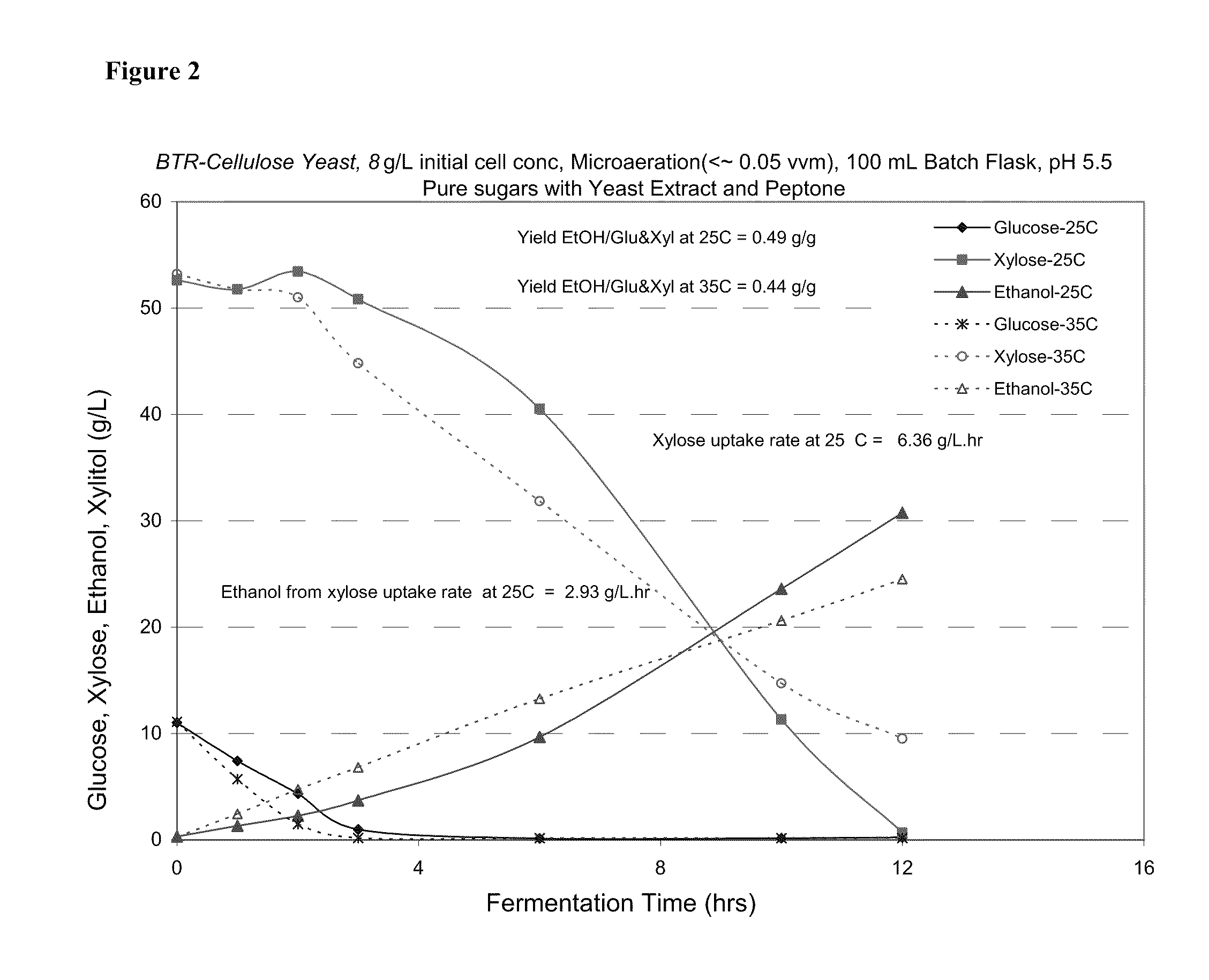 Novel ethanol-producing yeast