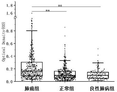 A kind of lung cancer marker anti-psip1 autoantibody and its application