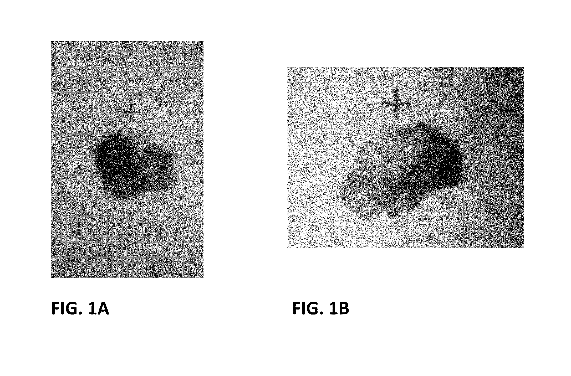 Learning systems and methods