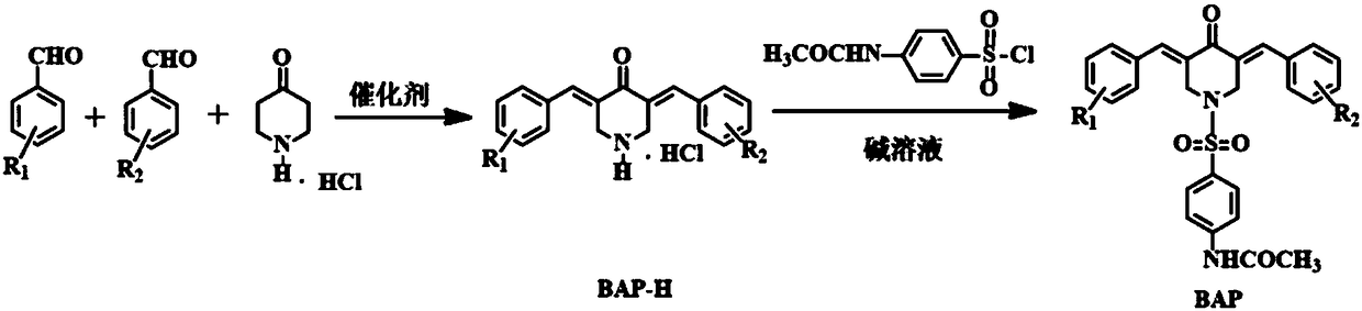 4-acetylamino benzene sulfonyl substituted 3,5-bis(arylidene)-4-piperidinone compounds and preparation method thereof