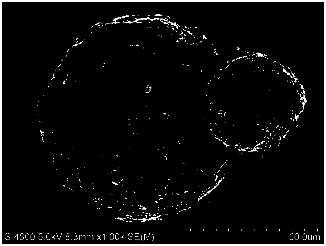 Preparation method for multicore-single shell microsphere sustained-release system with embedded GDNF