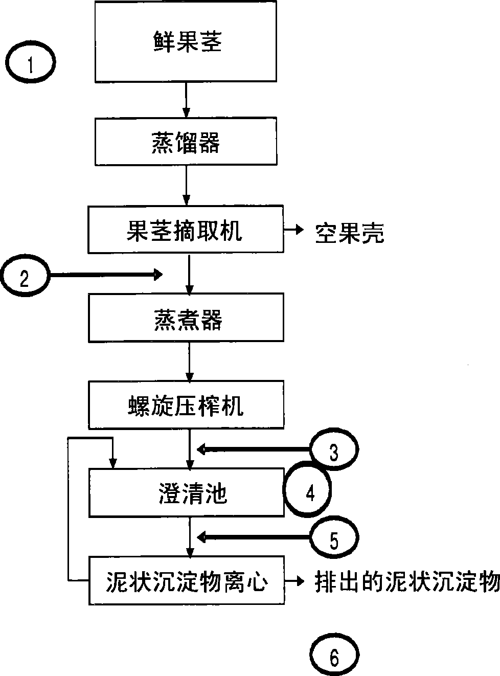 Vegetable oil extraction