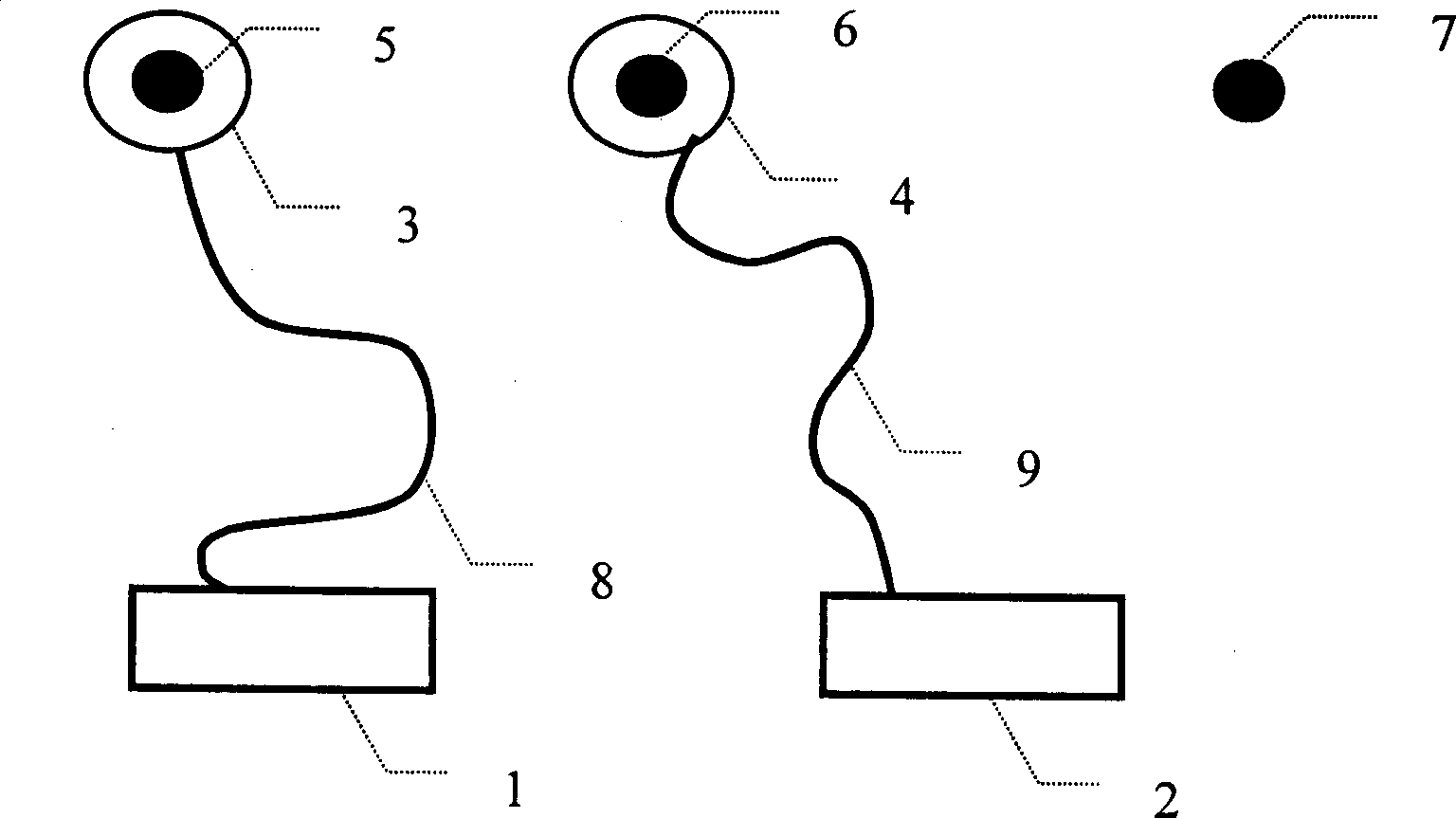 Whole cycle fuzziness initializing method in short-base line DGPS location