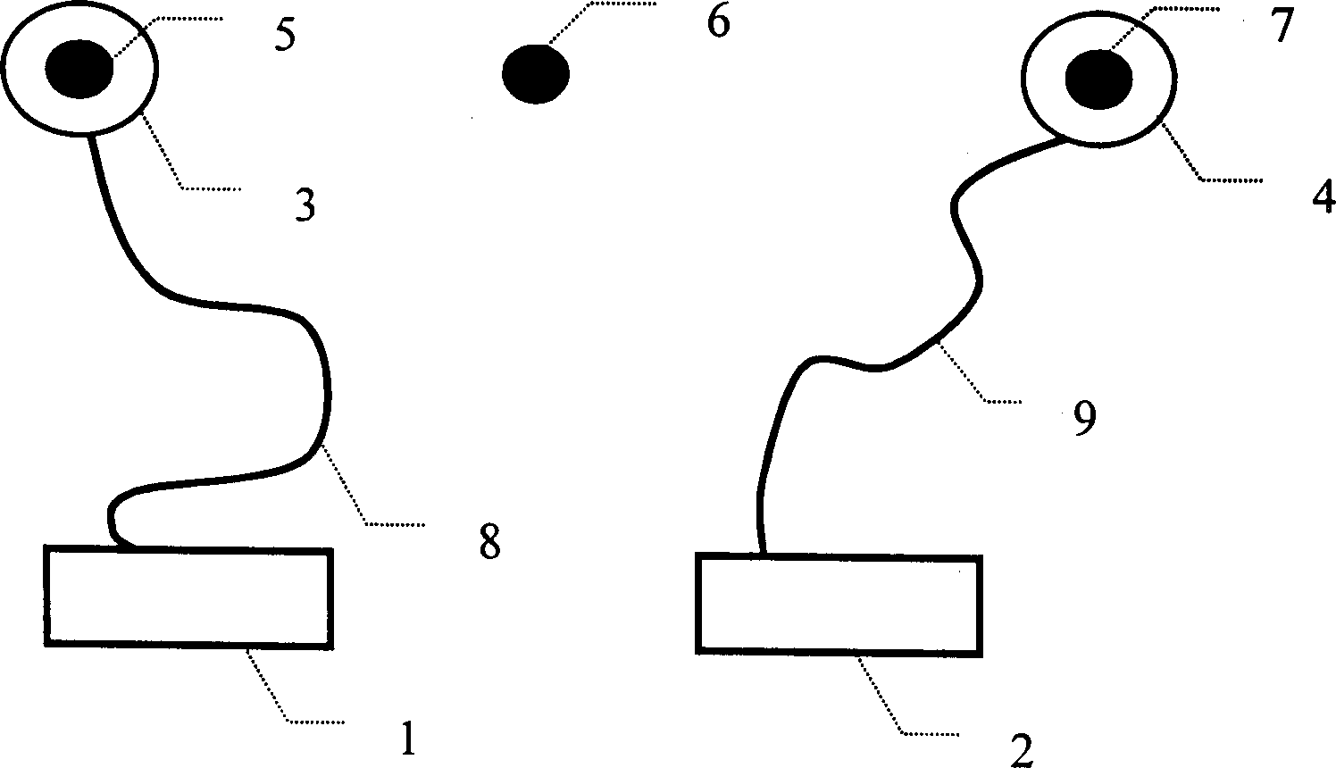 Whole cycle fuzziness initializing method in short-base line DGPS location