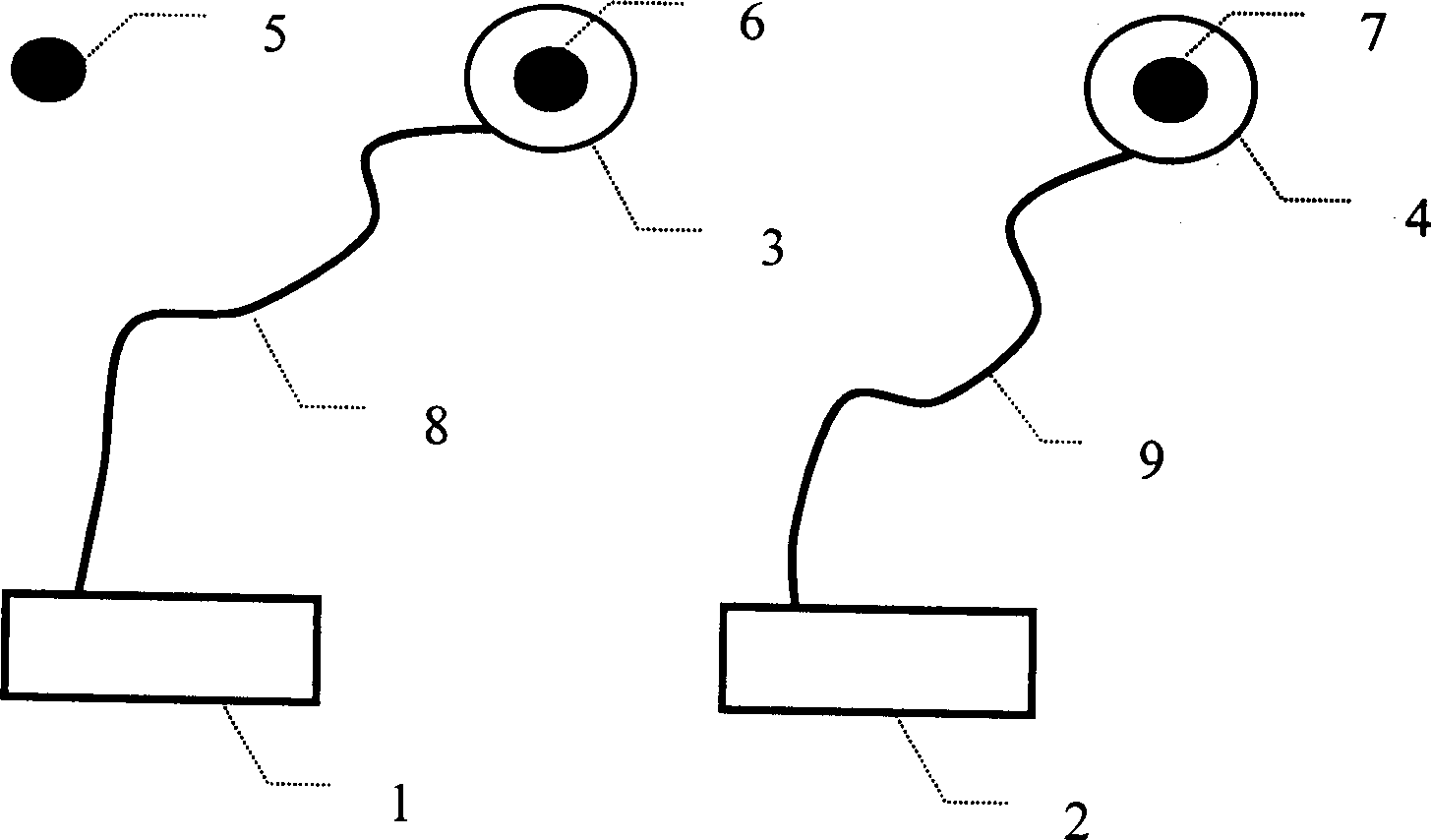 Whole cycle fuzziness initializing method in short-base line DGPS location