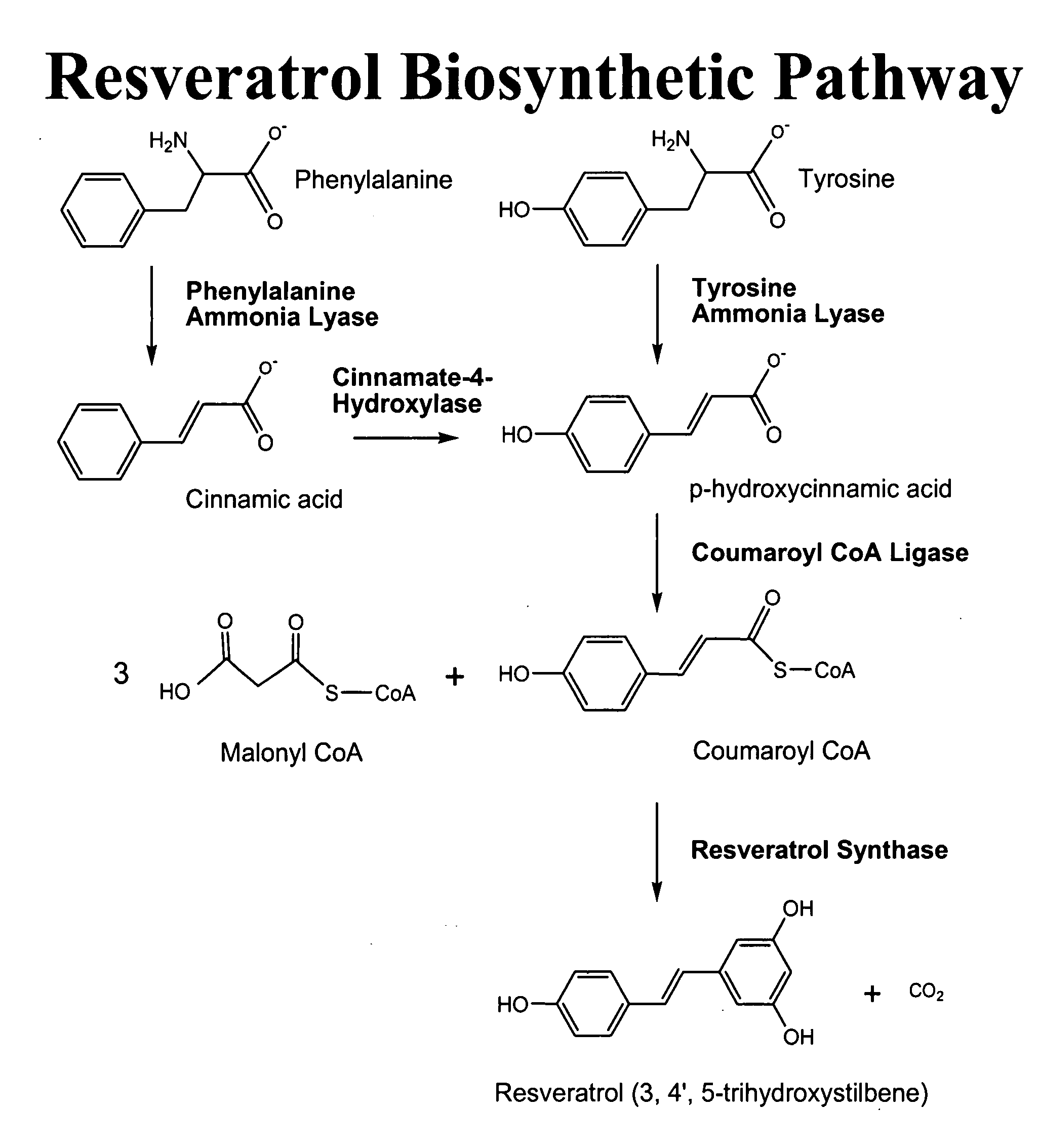 Method for the production of resveratrol in a recombinant oleaginous microorganism