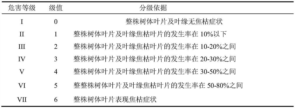 Method for preventing and treating leaf scorch disease of walnuts