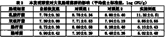 Ferment liquid for pets to drink and preparation method of ferment liquid