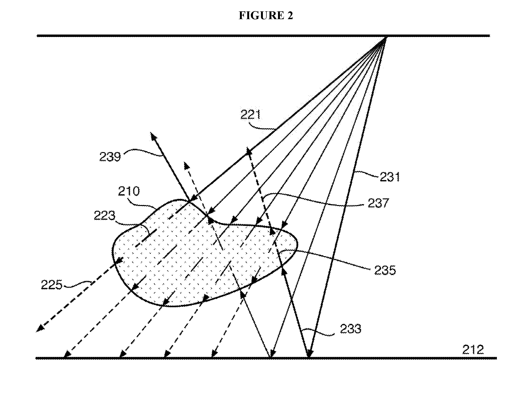 Black hole boundary conditions