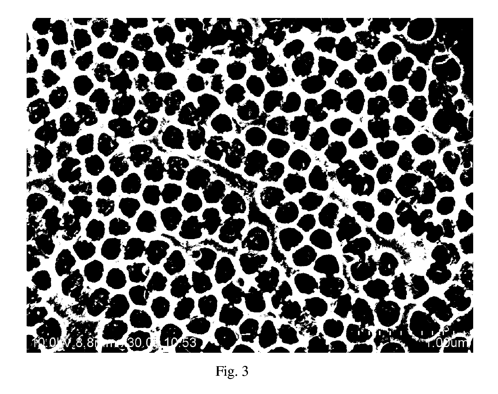 Methods of making platinum and platinum alloy catalysts with nanonetwork structures