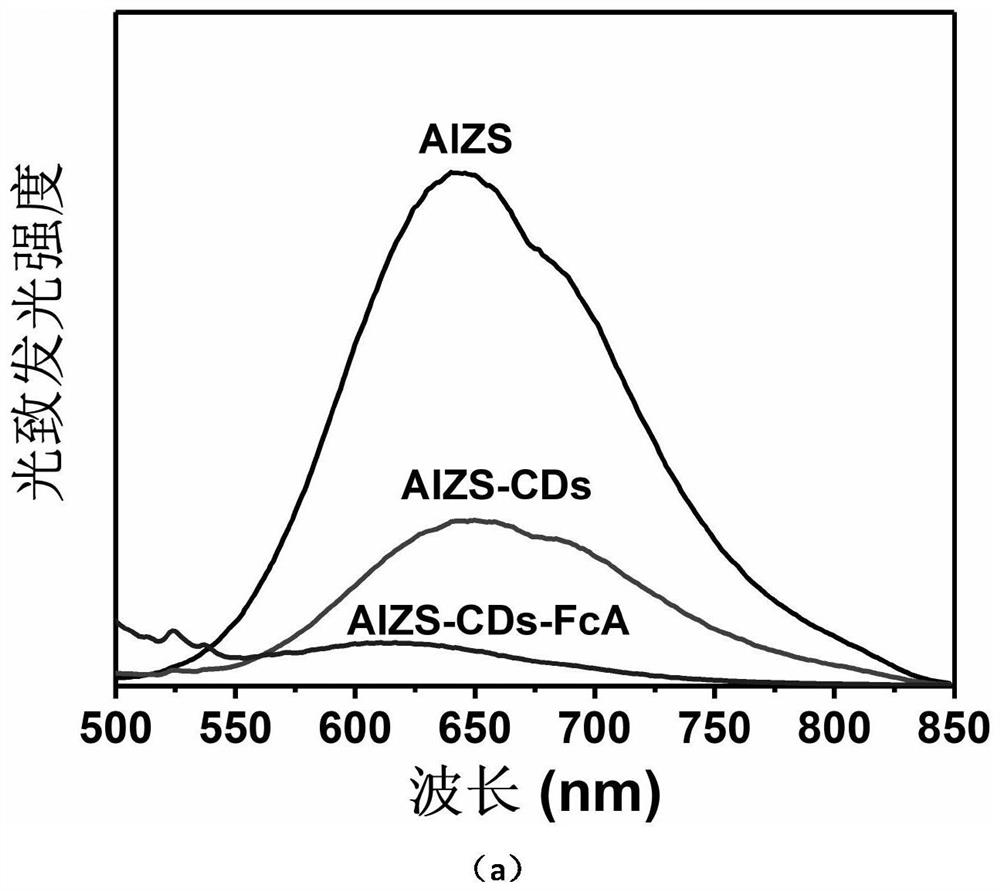 Preparation method and application of functional carbon quantum dots modified ag-in-zn-s quantum dots