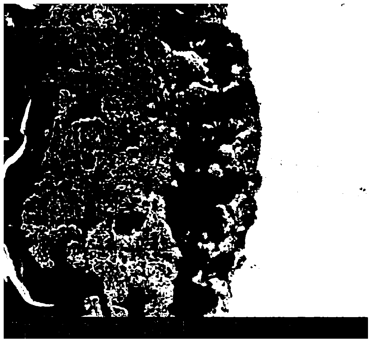 Weather resistant steel surface stabilization treatment liquid for marine atmospheric environment