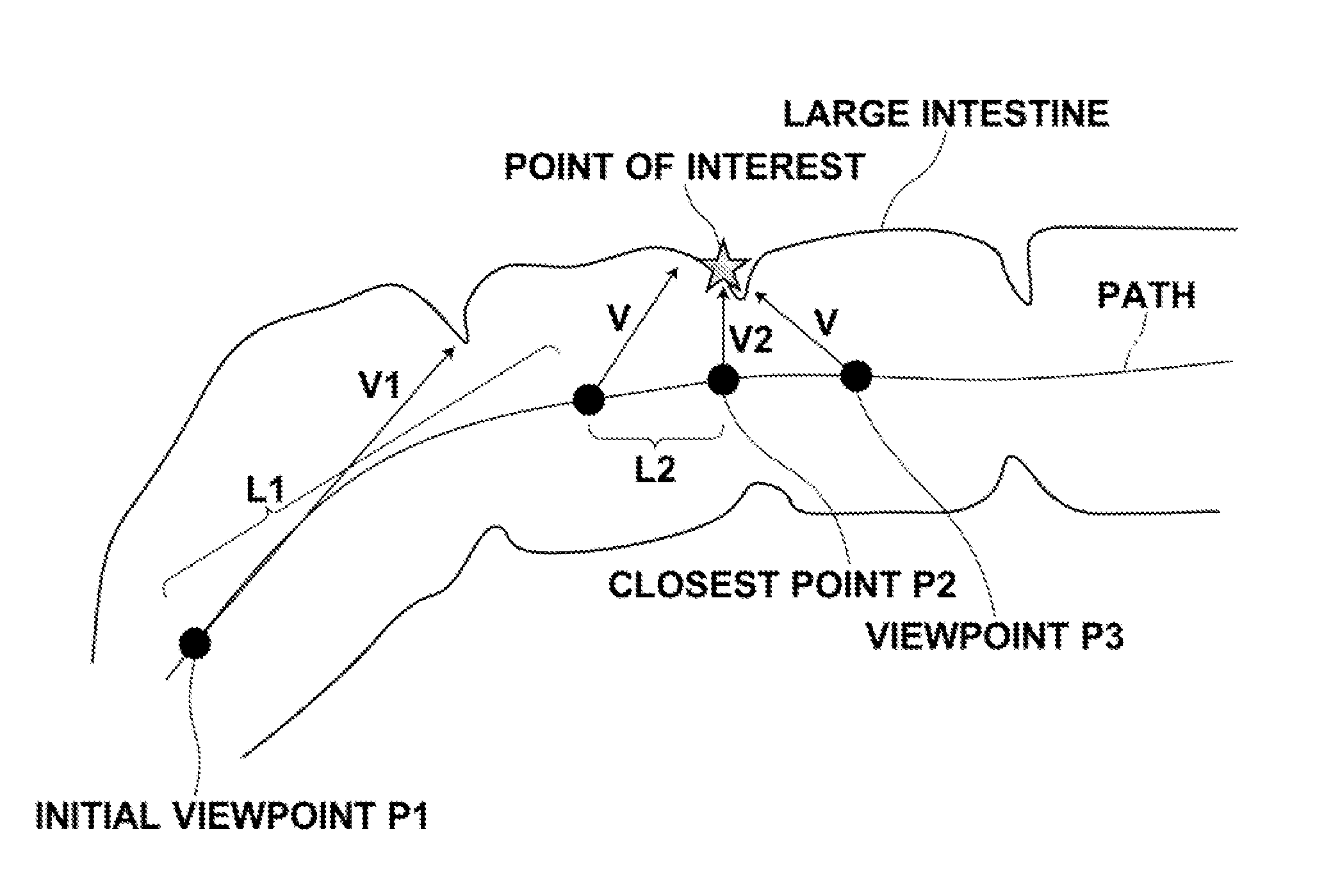 Virtual endoscopic image display apparatus, method and program