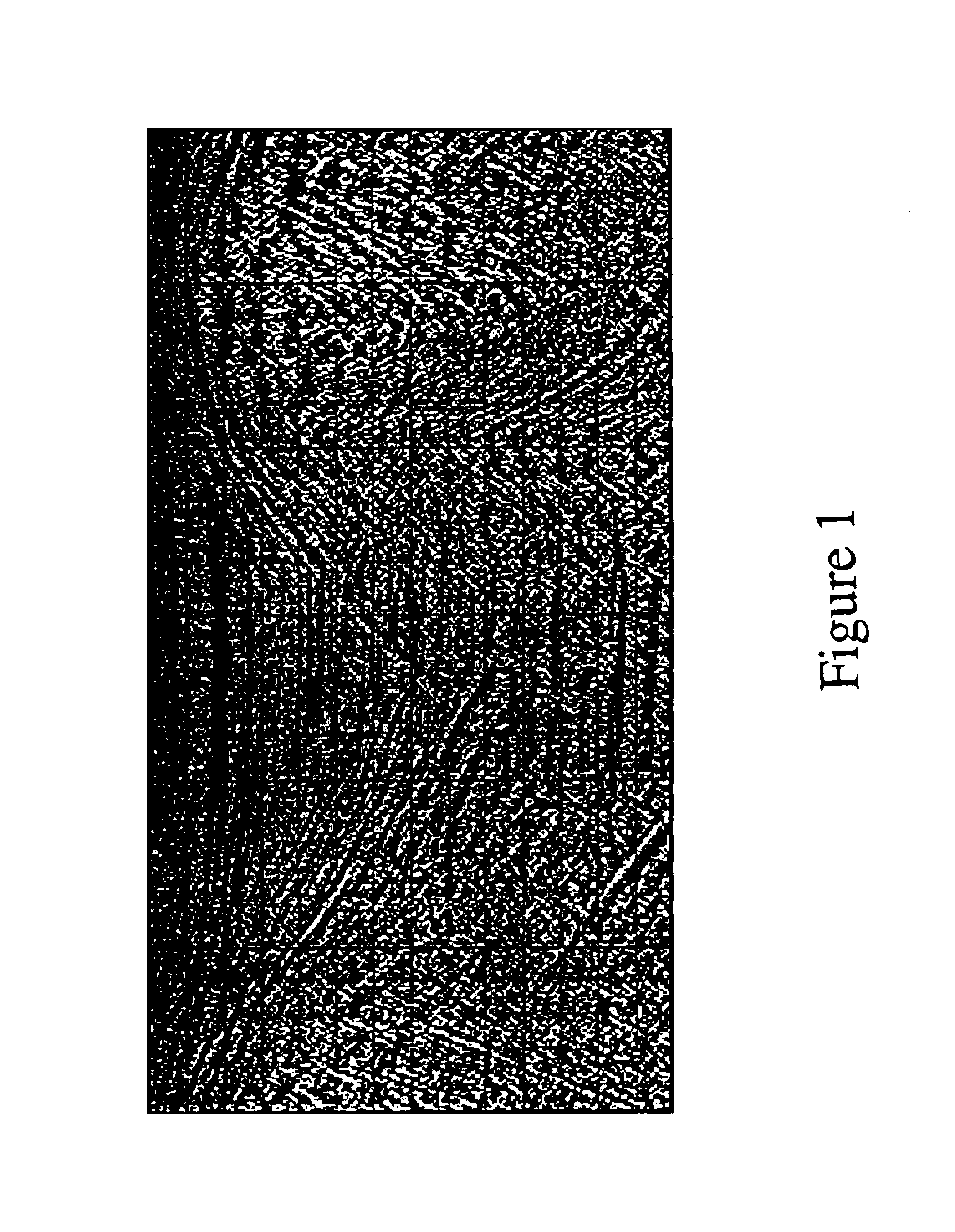 Modeling gravity and tensor gravity data using poisson's equation for airborne, surface and borehole applications