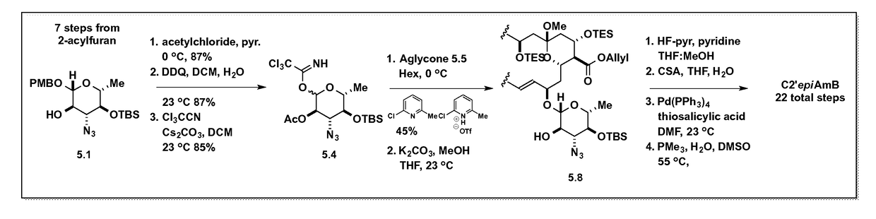 Amphotericin b derivative with reduced toxicity