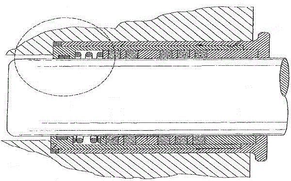 Packing shaft seal structure for high pressure reciprocating pump