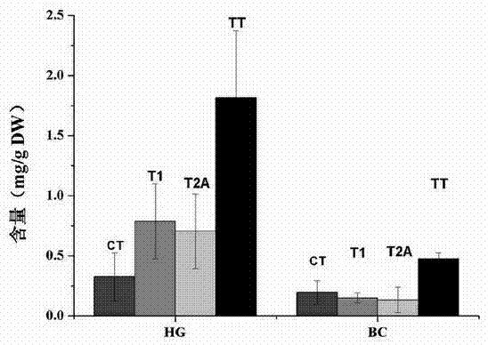 Method for increasing tanshinone content of salvia miltiorrhiza hairy roots by transferring SmGGPPS gene