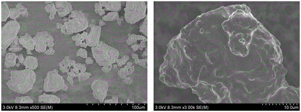 Pinctada martensii micro-encapsulated diet and preparation method thereof