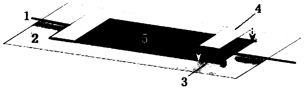 Detection method of paper-based sensor based on specific CA19-9 antibody