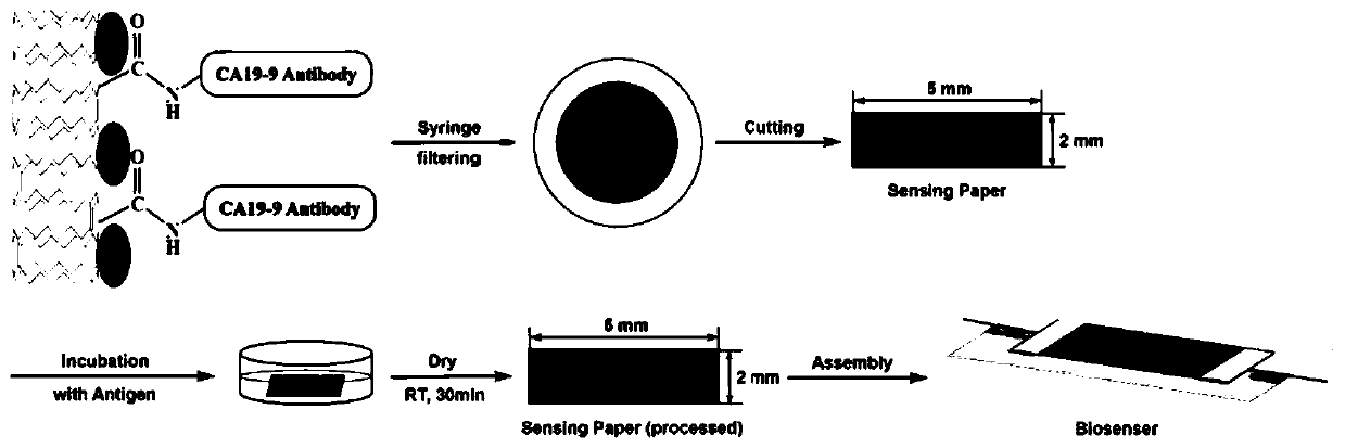 Detection method of paper-based sensor based on specific CA19-9 antibody