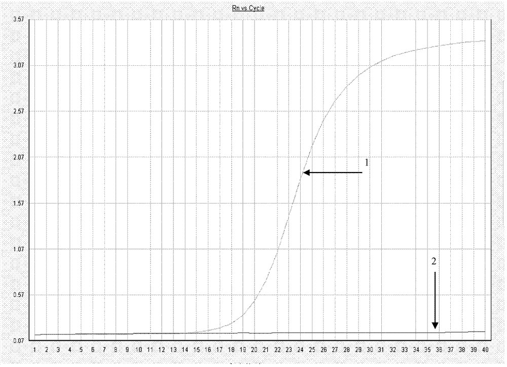 Quantitative detection kit and detection method for virus content of lapinized classical swine fever virus vaccine