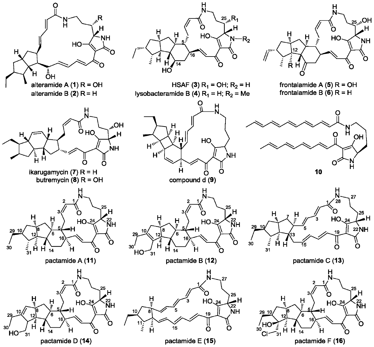 A biosynthetic gene cluster of pactamide and its application