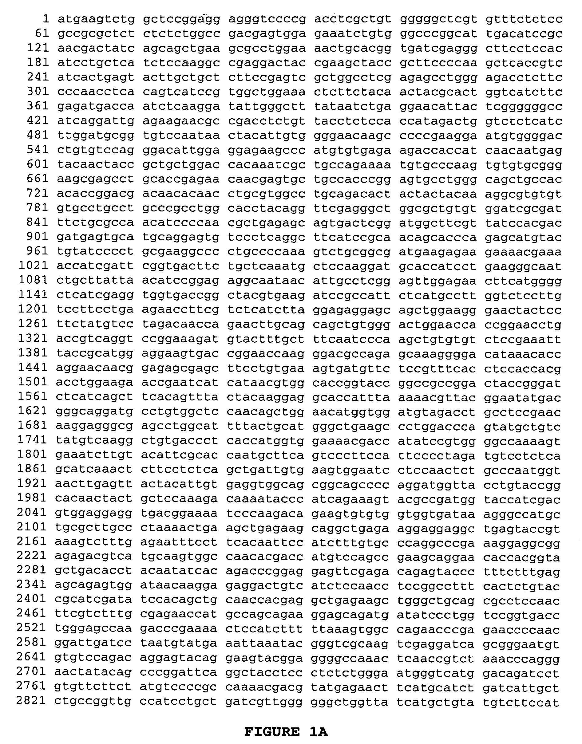 Insulin-like growth factor-1 receptor (IGF-1R) polymorphic alleles and use of the same to identify DNA markers for reproductive longevity