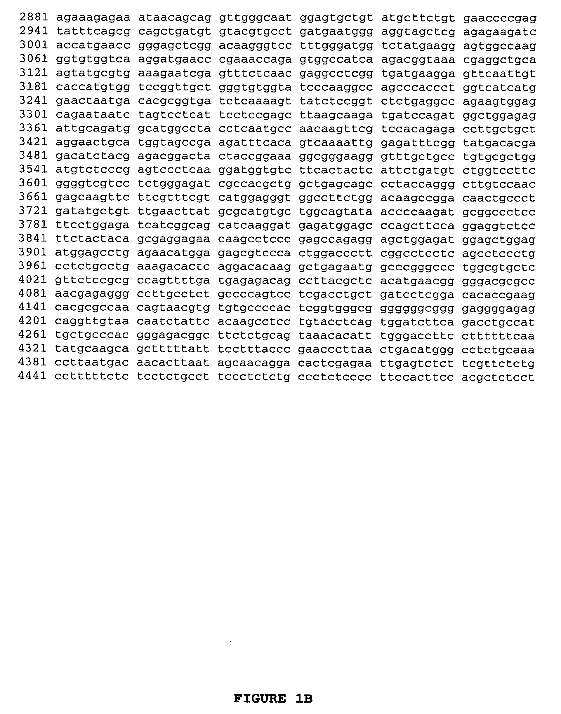 Insulin-like growth factor-1 receptor (IGF-1R) polymorphic alleles and use of the same to identify DNA markers for reproductive longevity