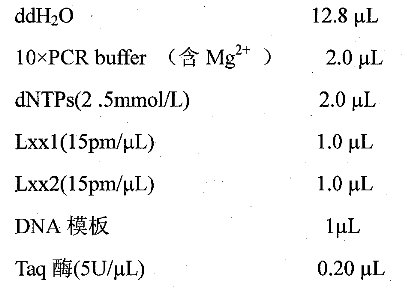 PCR fast test method of sugarcane ratoon stunting germina