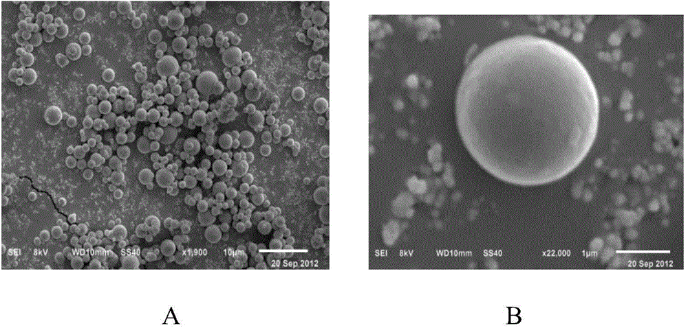 Preparation method of isoniazid slow release microspheres