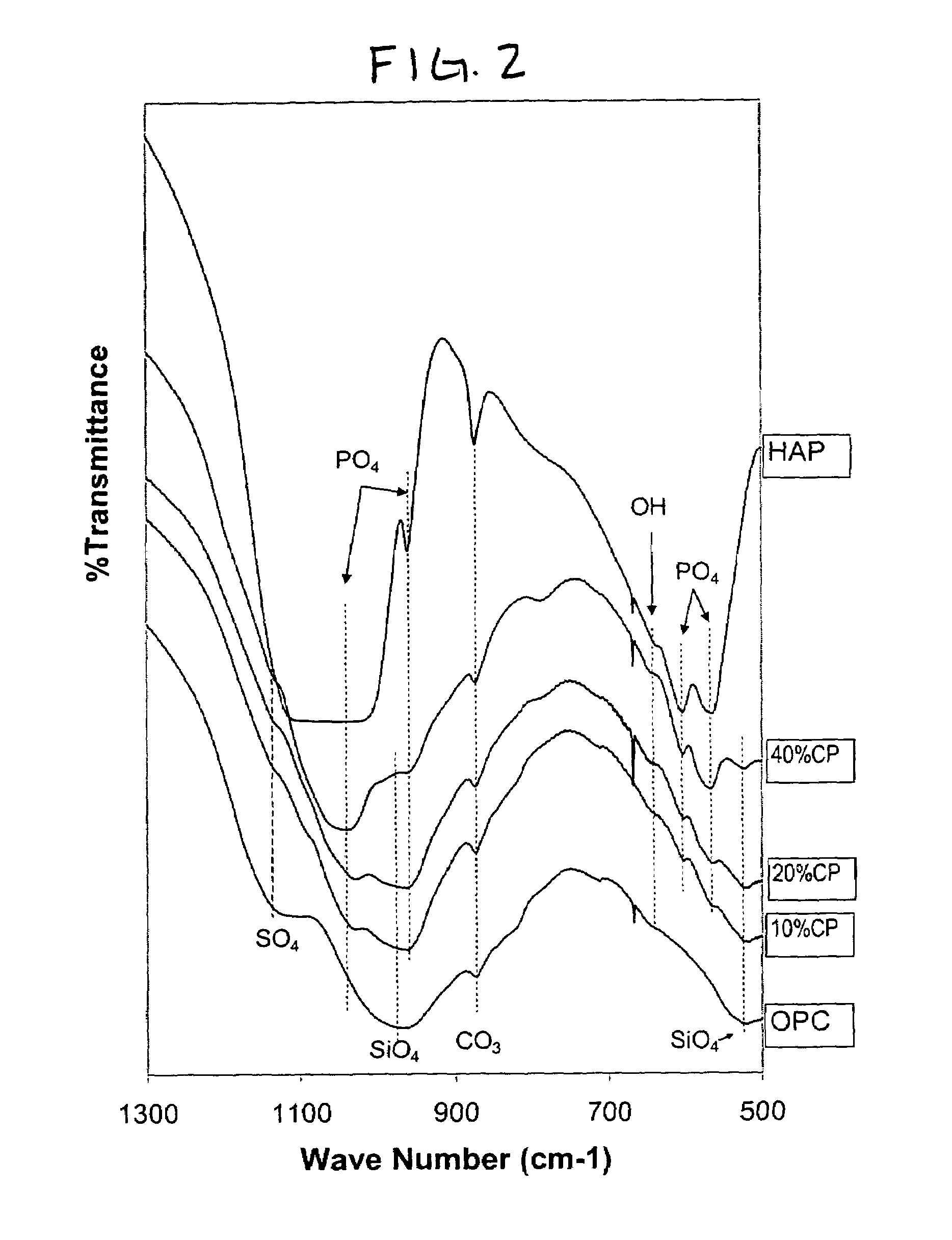 High strength biological cement composition and using the same