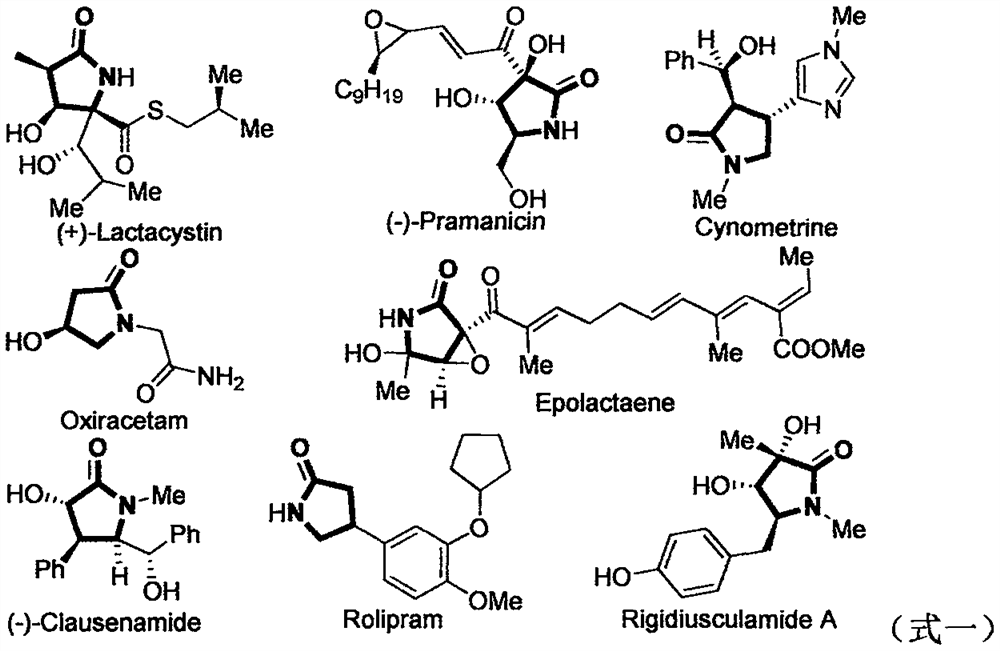 A kind of preparation method of 2-pyrrolidone compounds