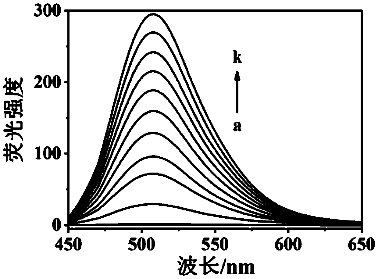 Fluorescent probe and preparation method and application thereof