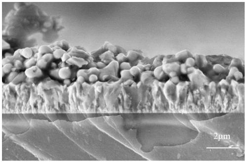 A ni-doped biovo  <sub>4</sub> Thin film photoanode, its preparation method and use