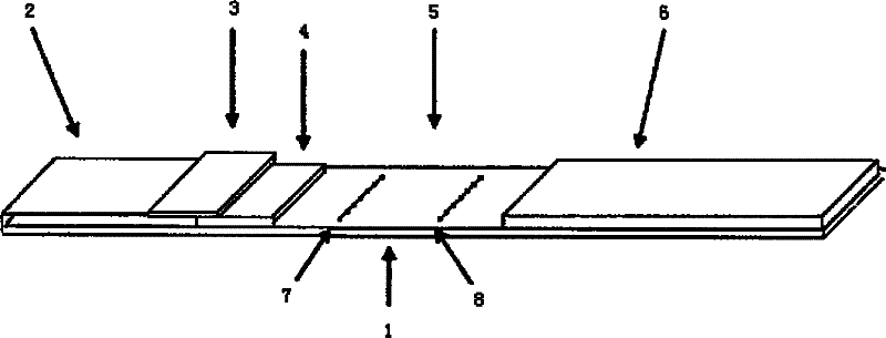 Kit for detecting creatine kinase isoenzyme and preparation and use methods thereof